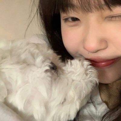小小家园九游版下载